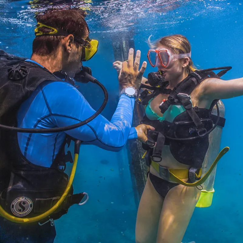 Scuba Diving Discount