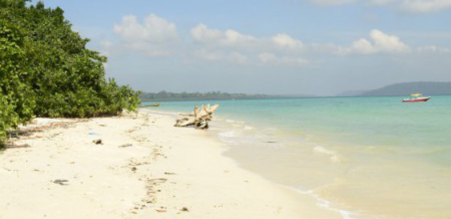 Distinctive Andaman